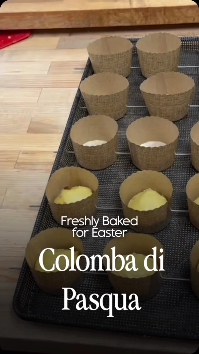 Colomba di Pasqua is now in all 3 shops and in 3 different sizes. If you aren't familiar with this delicacy, it is like Easter panettone, but without raisins. It's made with flour, eggs, sugar, natural yeast, candied citrus and butter, then fashioned into the shape a dove and topped with pearl sugar & almonds.

As you see here, the "Baby Colomba" are individual portions, and while not in the shape of the dove, they have all of the goodness of the full size. (Full and medium sizes are in the traditional dove shape).

Yum. Yum. Yum. 

#colombapasquale #colombadipasqua
