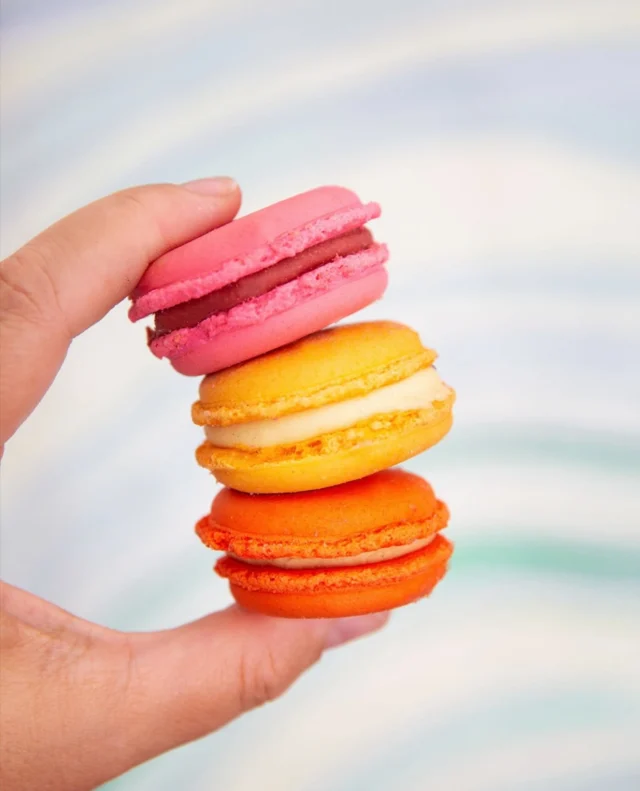 With the clocks moving forward and the light lingering a little longer, spring is beginning to show itself everywhere, especially in our macaron case.

Rows of bright little shells… strawberry pink, sunshine lemon, optimistic orange, and so many more; each one crisp, delicate, and filled with something smooth and lovely inside.

Little jewels of spring.