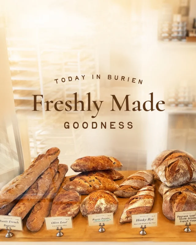 Fresh Bread Alert in Burien!!!

Hurry quick!
We have...

The GIANT Paysan Bread (French for “peasant” bread, made with stone ground French milled flour from the Champagne region of France).

Rustic Baguette

Olive Loaf