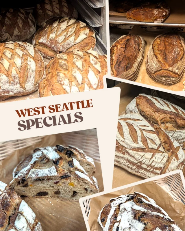 As you may have seen or heard, Chef William has been lighting up the R&D lab lately and turning out some absolute stunners. West Seattle is overflowing with a few extra-special selections right now:

- Emmer Loaf — a sourdough made with ancient grains, naturally high in protein and supports excellent gut health.

- Oat & Date Loaf

- Century Sourdough

- French Sourdough

- Charcuterie Bread

- Pan Paisan

And, of course, you’ll still find plenty of our regular favorites, including White Sourdough, Olive Loaf, Challah, and Miche.