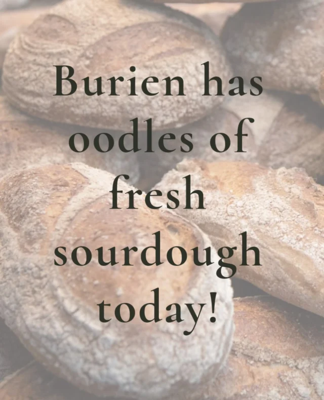 Burien oven’s are working overtime today. Stop by and see what the team was doing all night! Along with our regular selection, we have the giant Paysan, Country Italian and French sourdough, which is made with T-80 flour (A French semi-whole stone-ground flour that hits the ideal balance between the clean handling of white flour and the healthy, rich, complex flavor of whole wheat).

#KnowYourBread