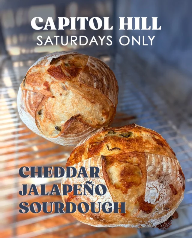 Brought to you by your talented Bread Team in Capitol Hill, on Saturdays only, The Cheddar Jalapeño Sourdough. (Yes we’re drooling).

It’s genuinely worth leaving the cozy house for this beauty. 

Made with T65 flour from Grands Moulins de Paris, yields a rustic, wheaty sourdough with a beautifully caramelized crust and a rich, toasted-nut aroma. It’s packed with sharp cheddar and spicy jalapeños and begging for a pat of butter.

#KnowYourBread #grandsmoulinsdeparis_int