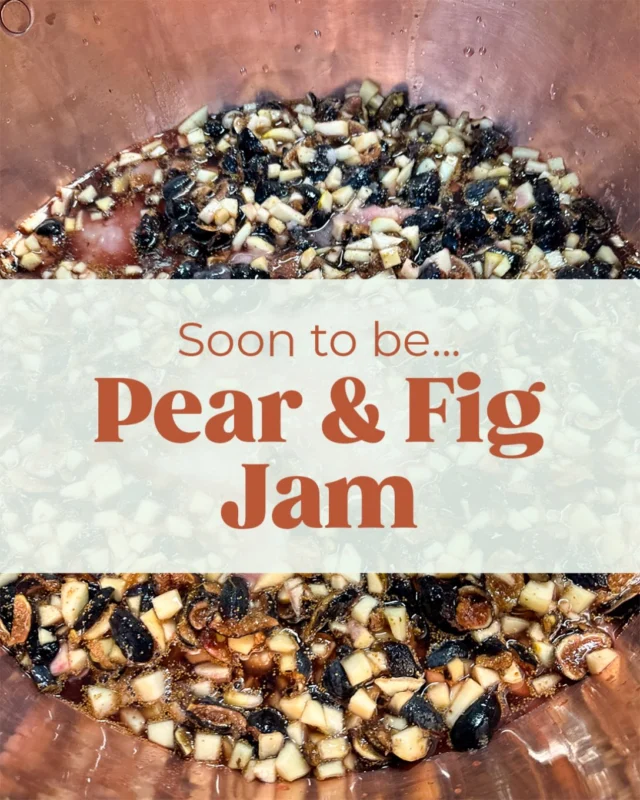 We LOVE jam season and seeing what Chef’s cooking up in the big brass cauldron!

Today’s alchemy is a pear and fig jam, a magical combination of two autumn fruits. The delicate, mellow sweetness of ripe pears pairs beautifully with the deep, honeyed richness of figs. Just imagine the warm bread, a little butter and some Fig & Pear Jam!